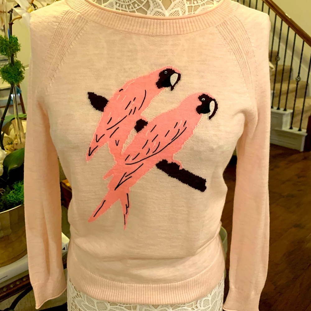 A perfect lightweight sweater in blush, size XXS. EUC, long sleeves, fitted.